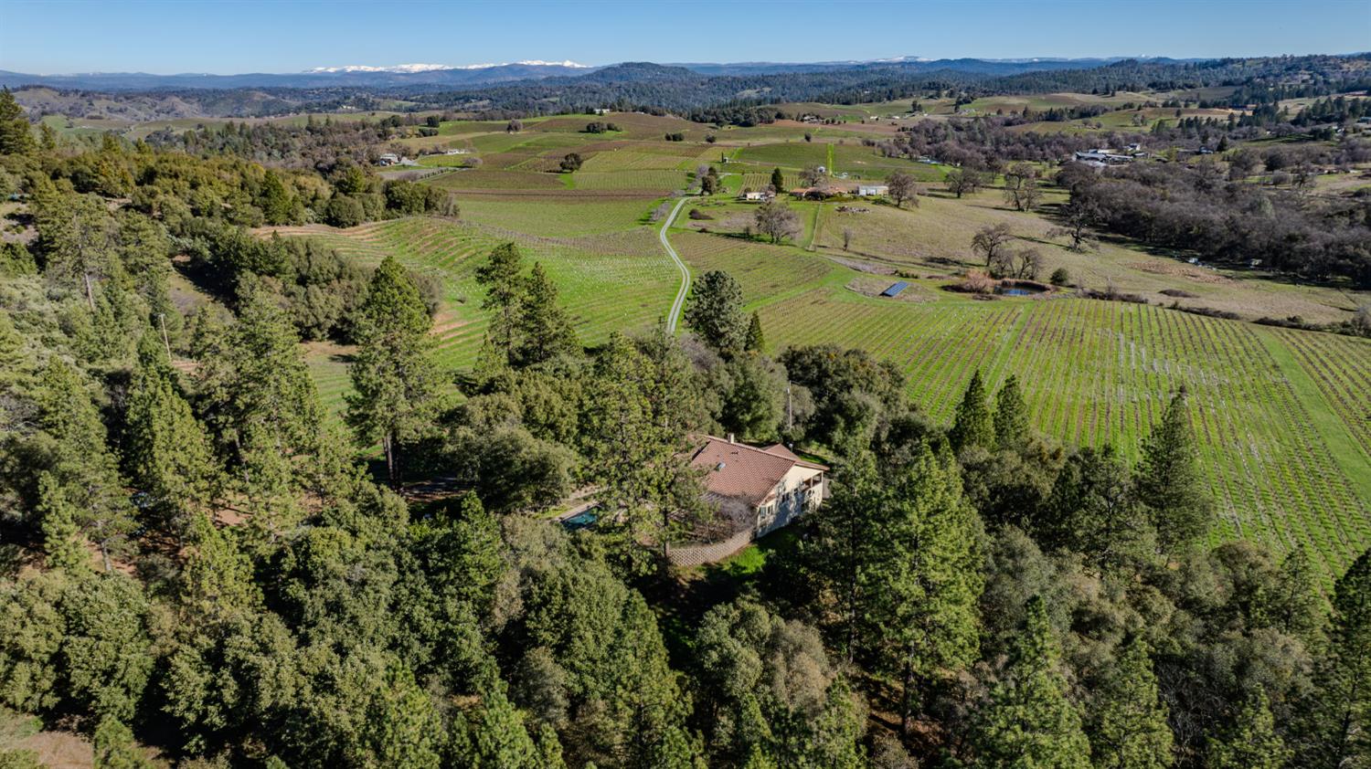 22707 Upton Road Plymouth, CA 95669 - Photo 78 of 99 an aerial view of residential houses with outdoor space and trees
