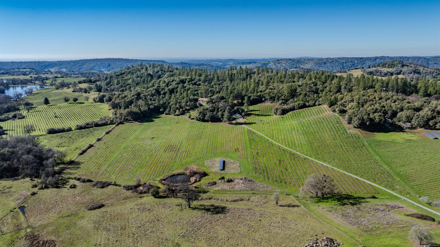 22707 Upton Road Plymouth, CA 95669 - Photo 87 of 99