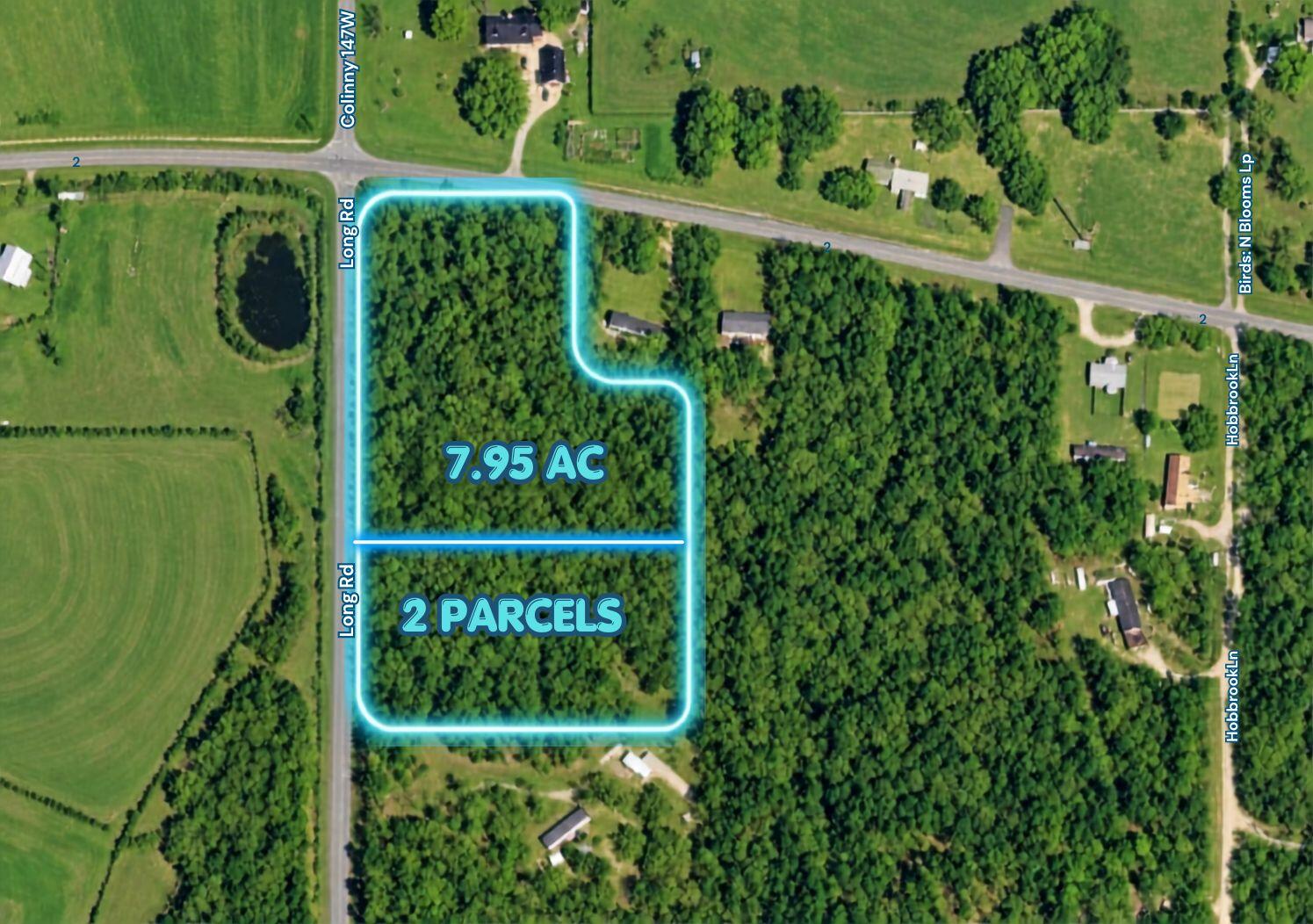 Neon Blue Border Walton Co Vacant Lots