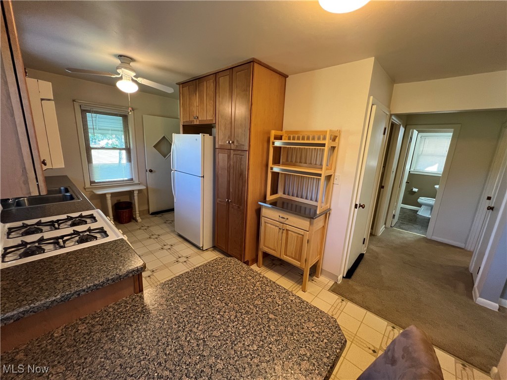 225 South Raccoon Road Austintown, OH 44515 - Photo 9 of 44 Gallery Image 9