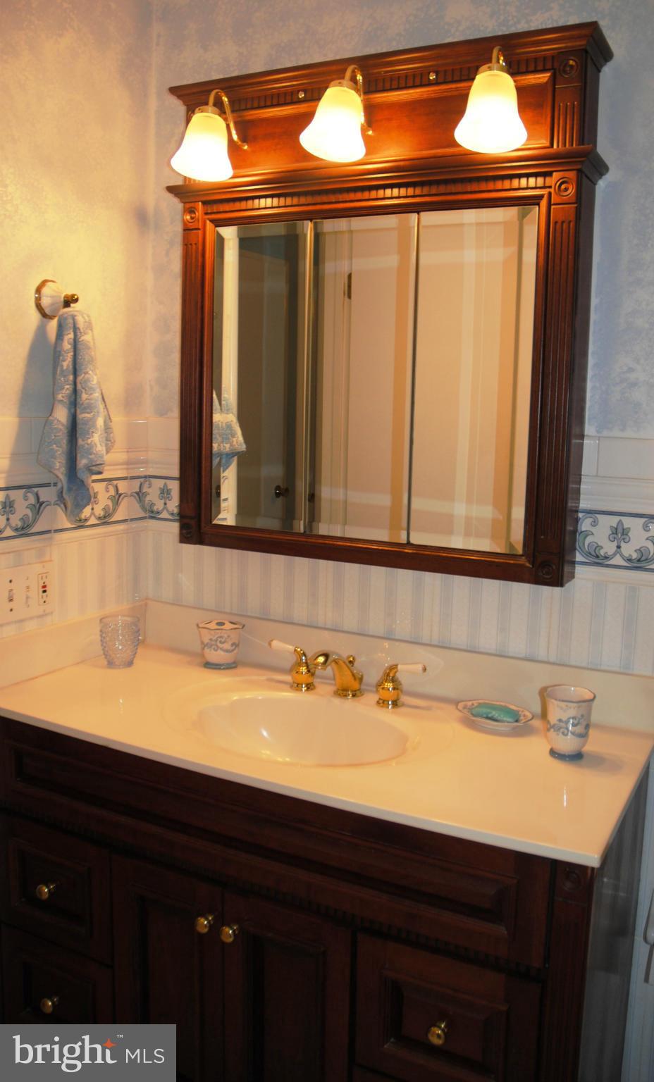 13008 Tamarack Road Silver Spring, MD 20904 - Photo 22 of 30 Updated top, cabinetry, mirror and all