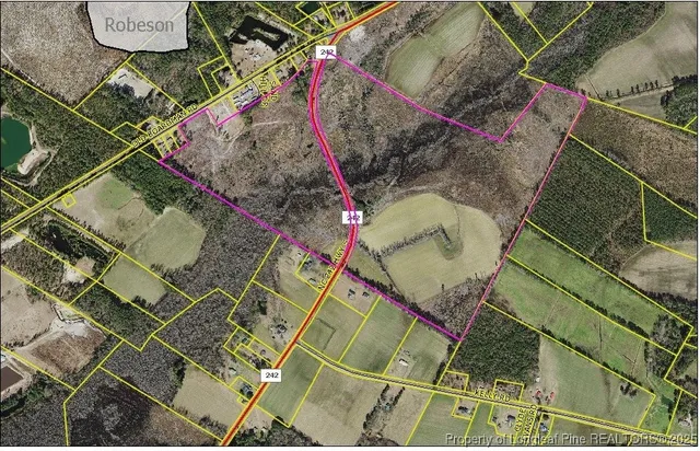 $720,000 | Nc-242 Highway South, Bladenboro, NC 28320
