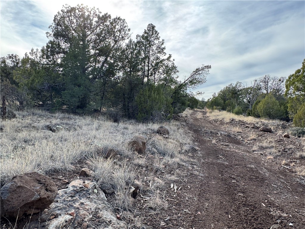 34745 West Running Shadow Road Seligman, AZ 86337 - Photo 32 of 52