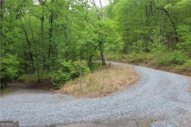 Lot 19 Owl Mountain Road Ellijay, GA 30536 - Photo 16 of 25