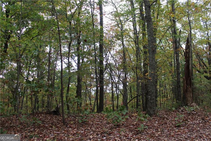 Lot 19 Owl Mountain Road Ellijay, GA 30536 - Photo 5 of 25