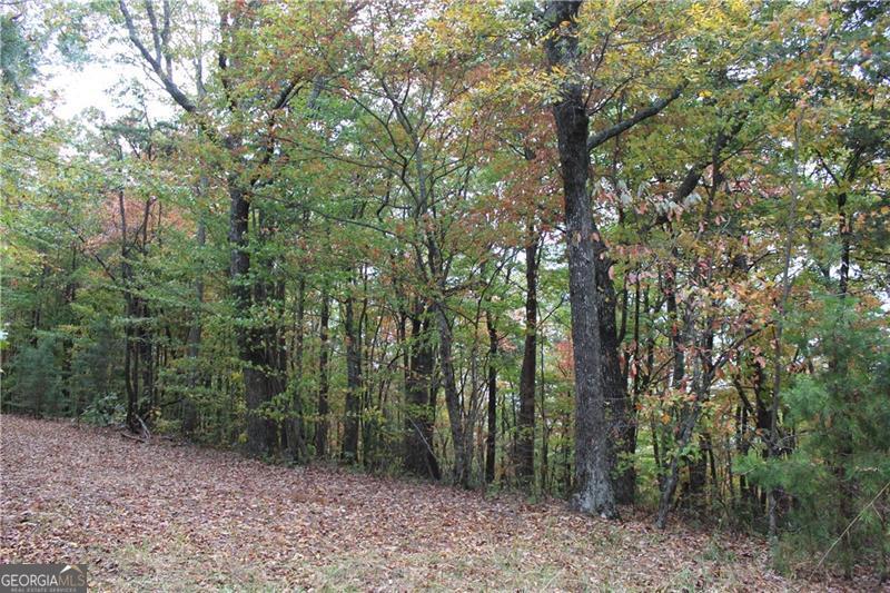 Lot 19 Owl Mountain Road Ellijay, GA 30536 - Photo 6 of 25