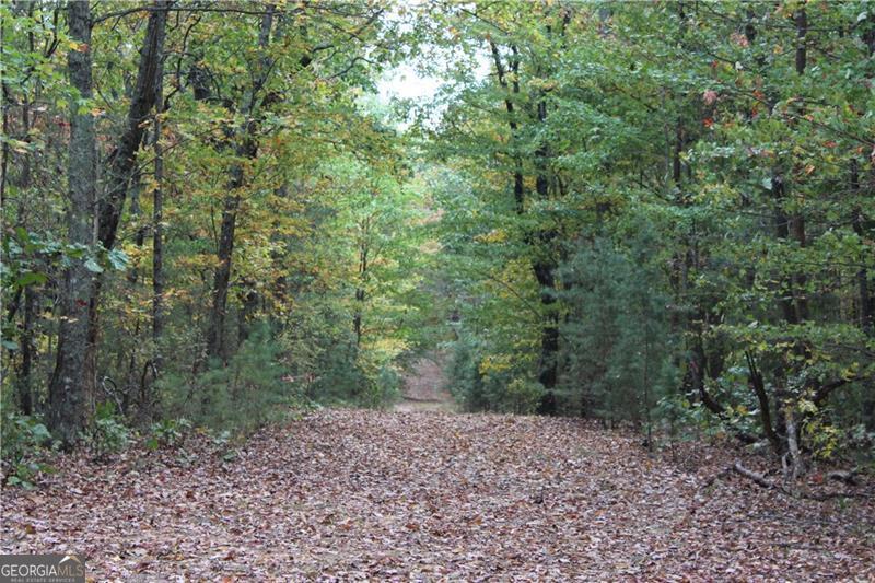 Lot 19 Owl Mountain Road Ellijay, GA 30536 - Photo 8 of 25
