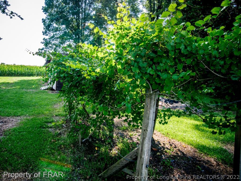 1353 Pleasant Hope Road Fairmont, NC 28340 - Photo 26 of 26 Gallery Image 26