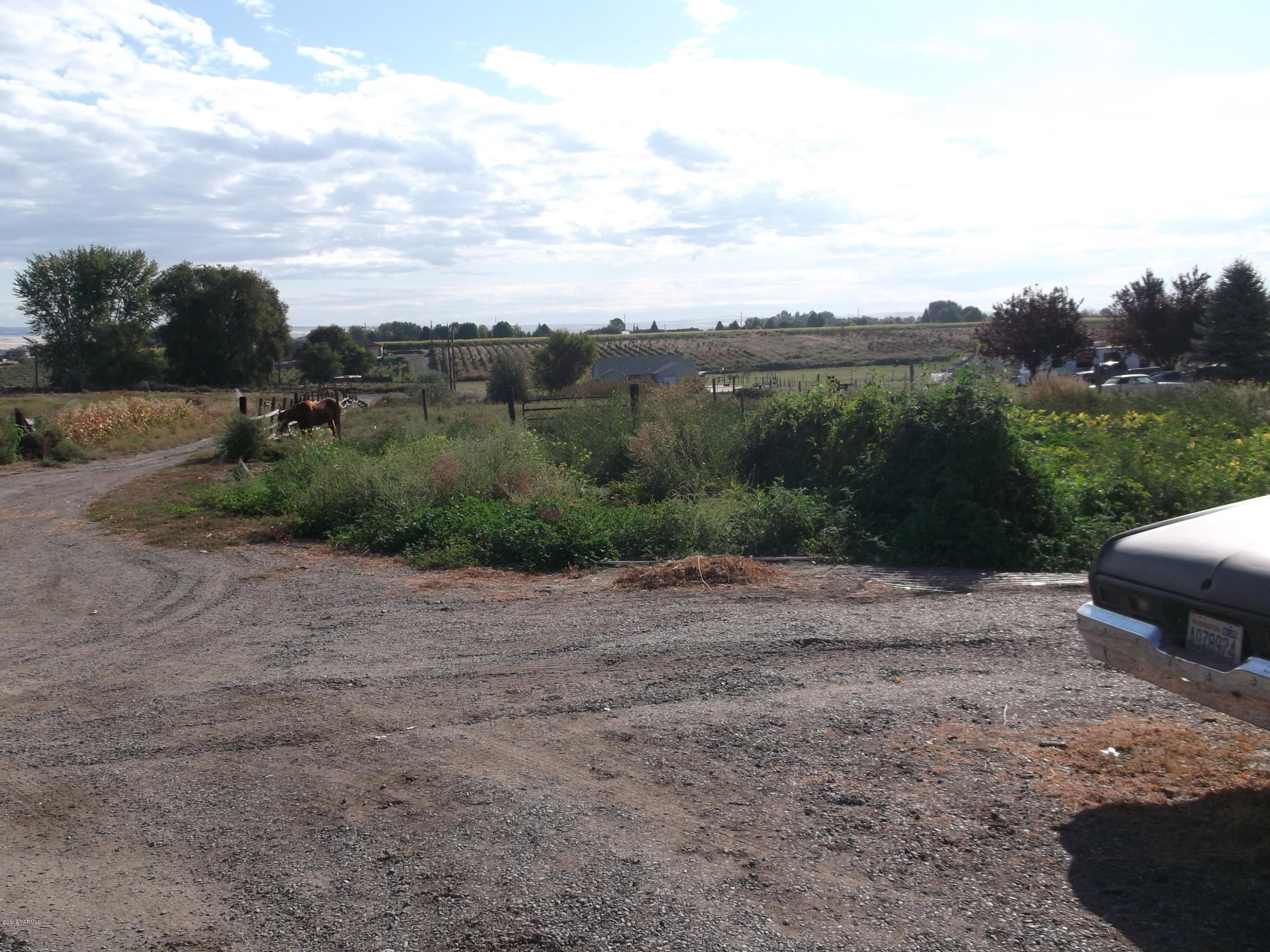 420 Albro Road Sunnyside, WA 98944 - Photo 7 of 8 a view of a dry yard with trees