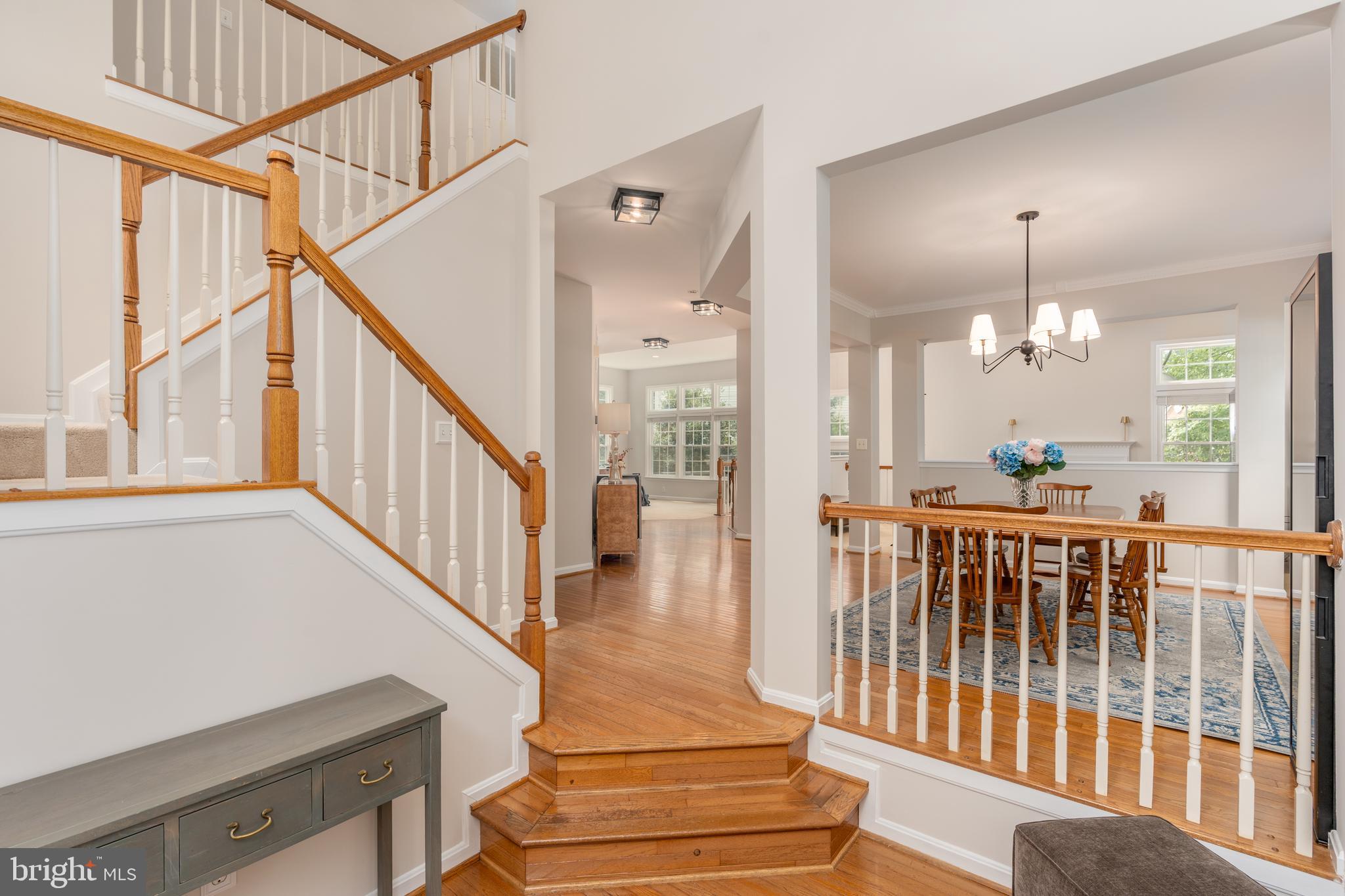 47543 Rippling Drive Sterling, VA 20165 - Photo 6 of 52 Foyer