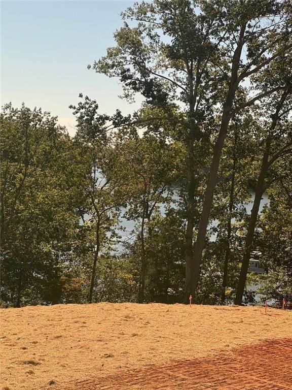 8415 Beryl Overlook Gainesville, GA 30506 - Photo 10 of 61