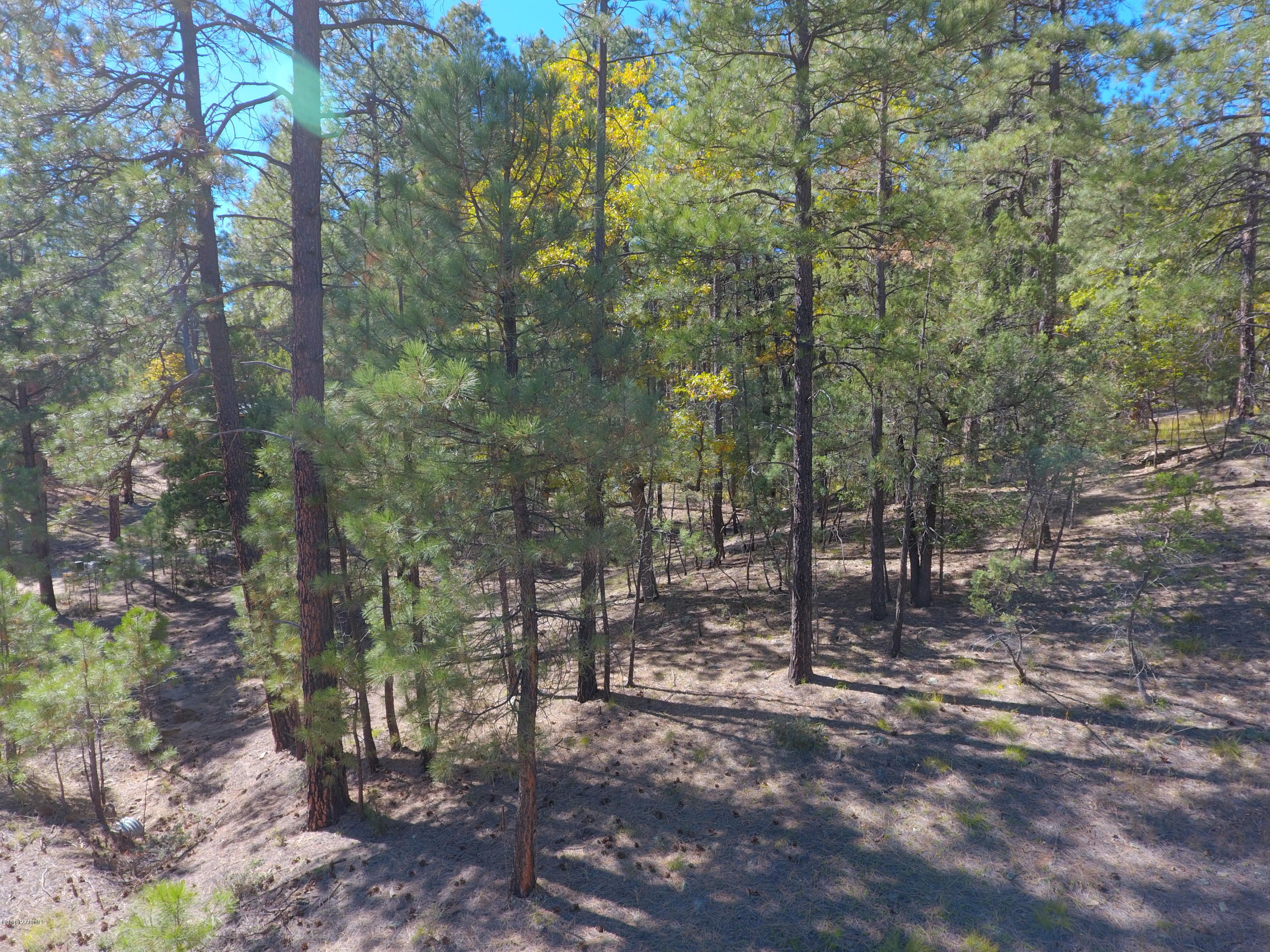 5510 East Walker Road Prescott, AZ 86303 - Photo 12 of 29 DJI_0059