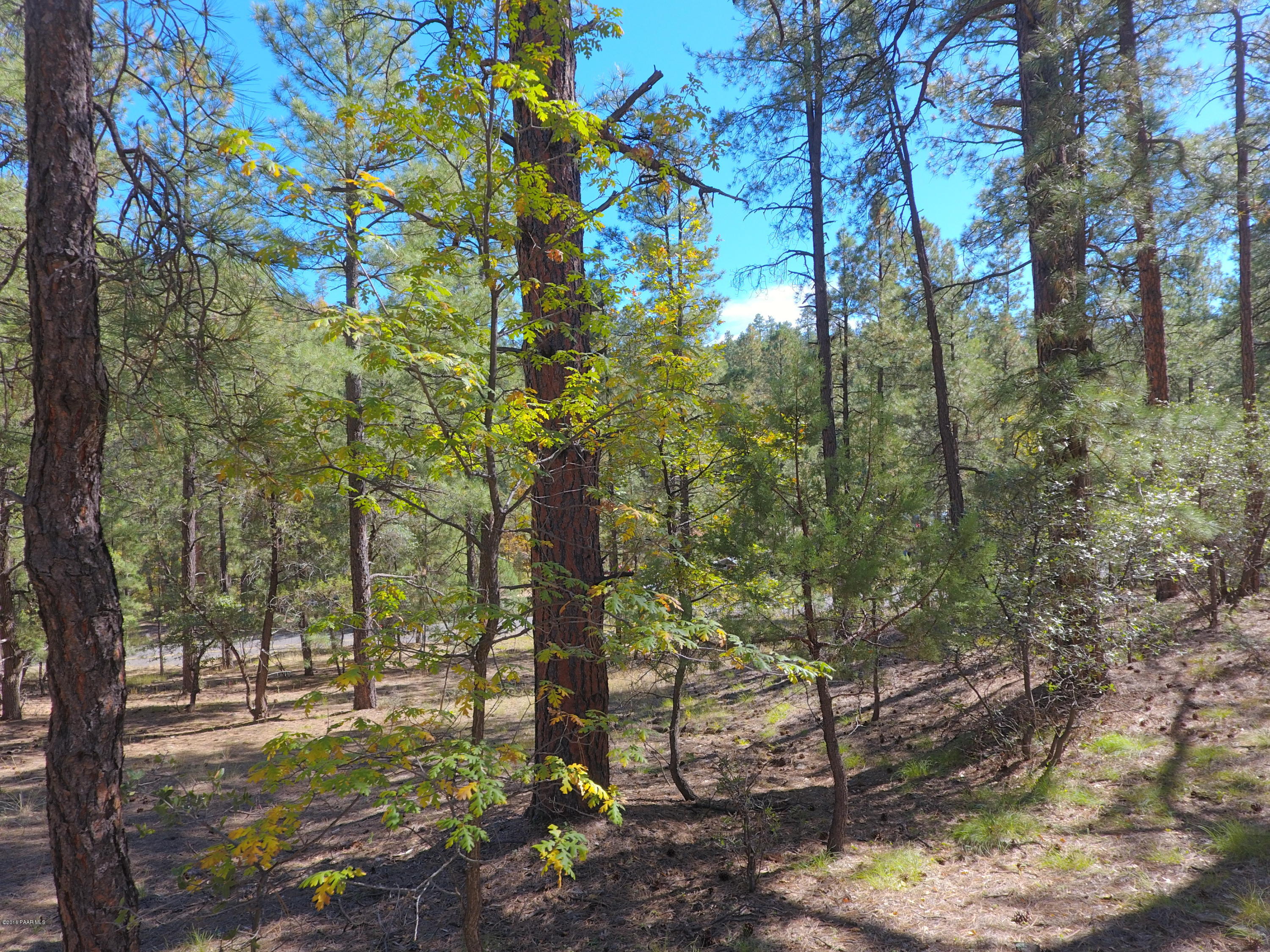 5510 East Walker Road Prescott, AZ 86303 - Photo 2 of 29 DJI_0086