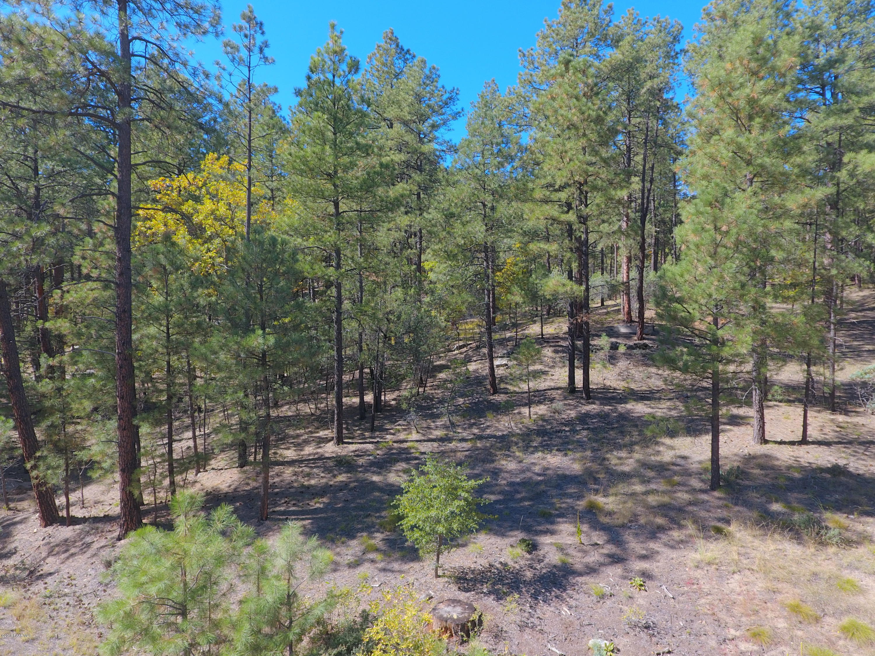 5510 East Walker Road Prescott, AZ 86303 - Photo 22 of 29 DJI_0069