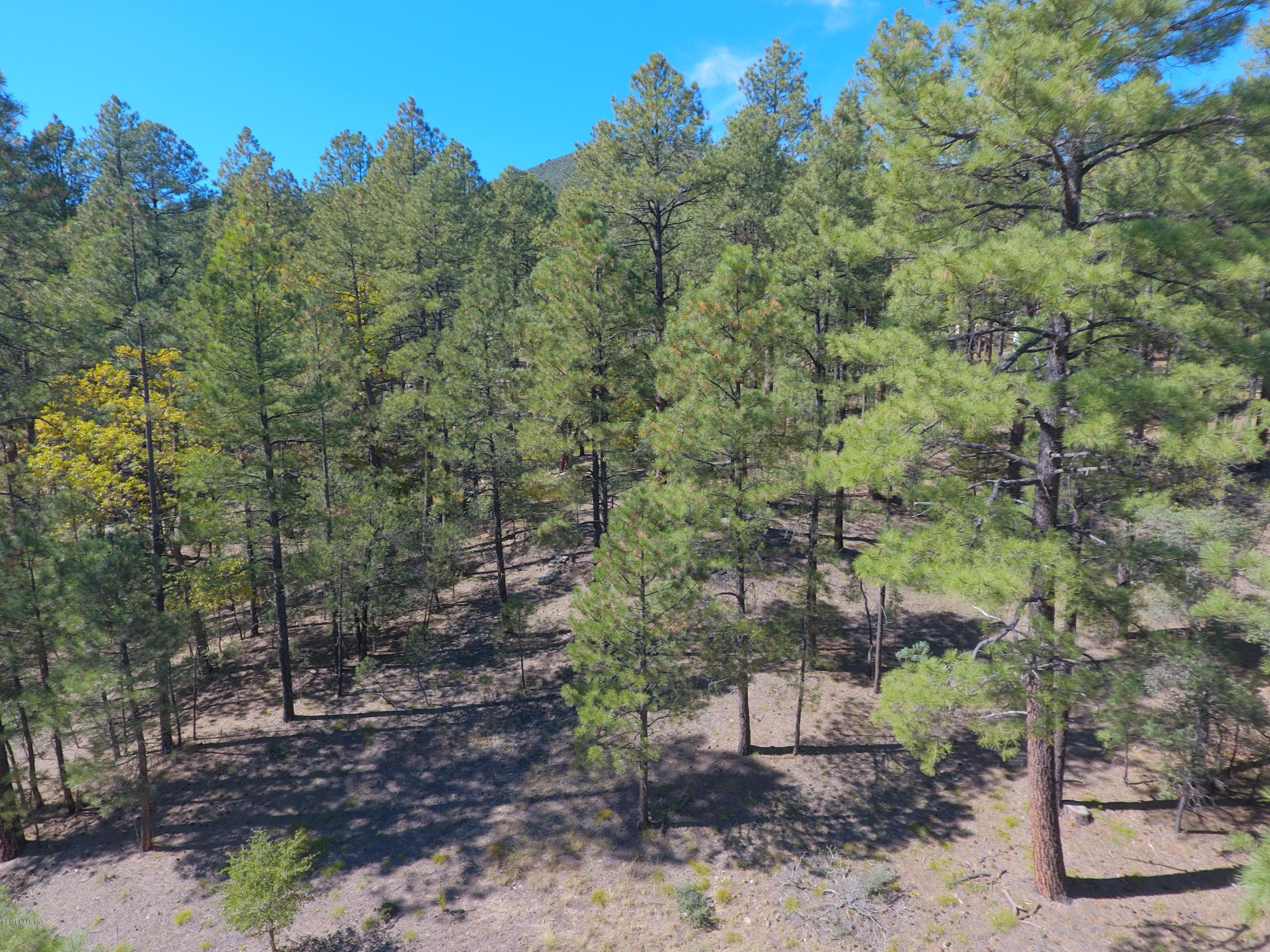 5510 East Walker Road Prescott, AZ 86303 - Photo 4 of 29 DJI_0039