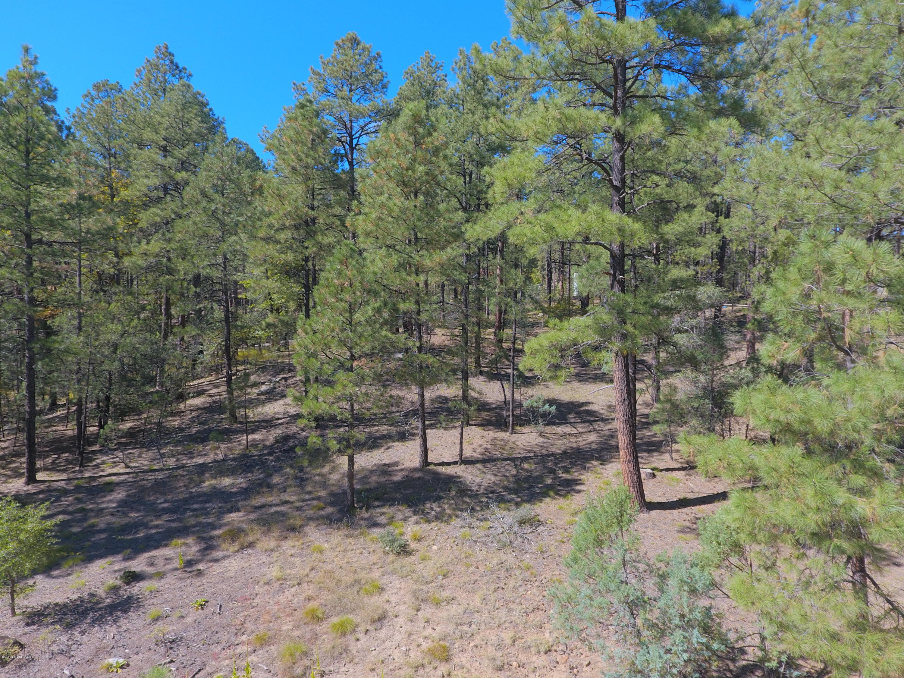 5510 East Walker Road Prescott, AZ 86303 - Photo 5 of 29 DJI_0041