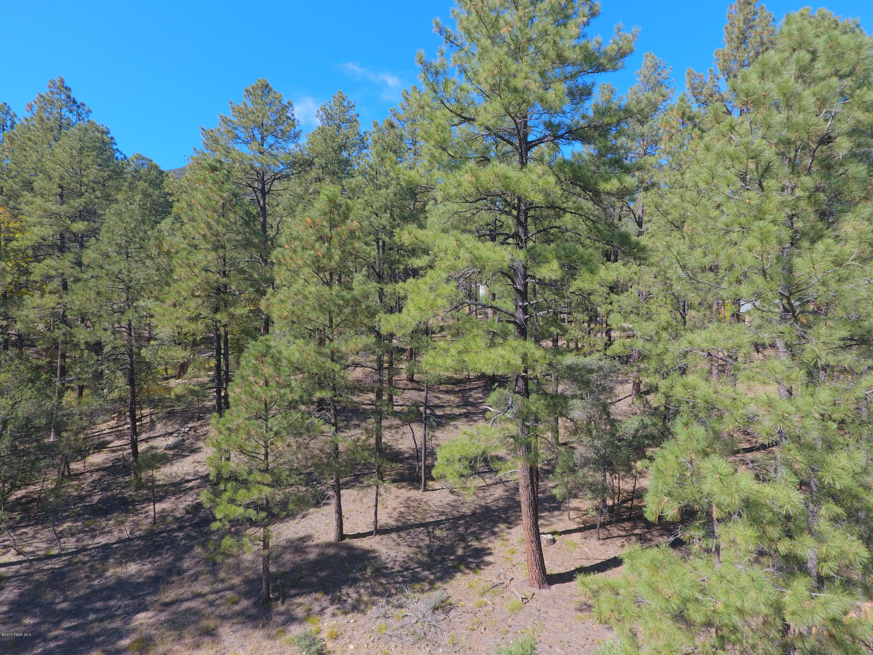 5510 East Walker Road Prescott, AZ 86303 - Photo 7 of 29 DJI_0043