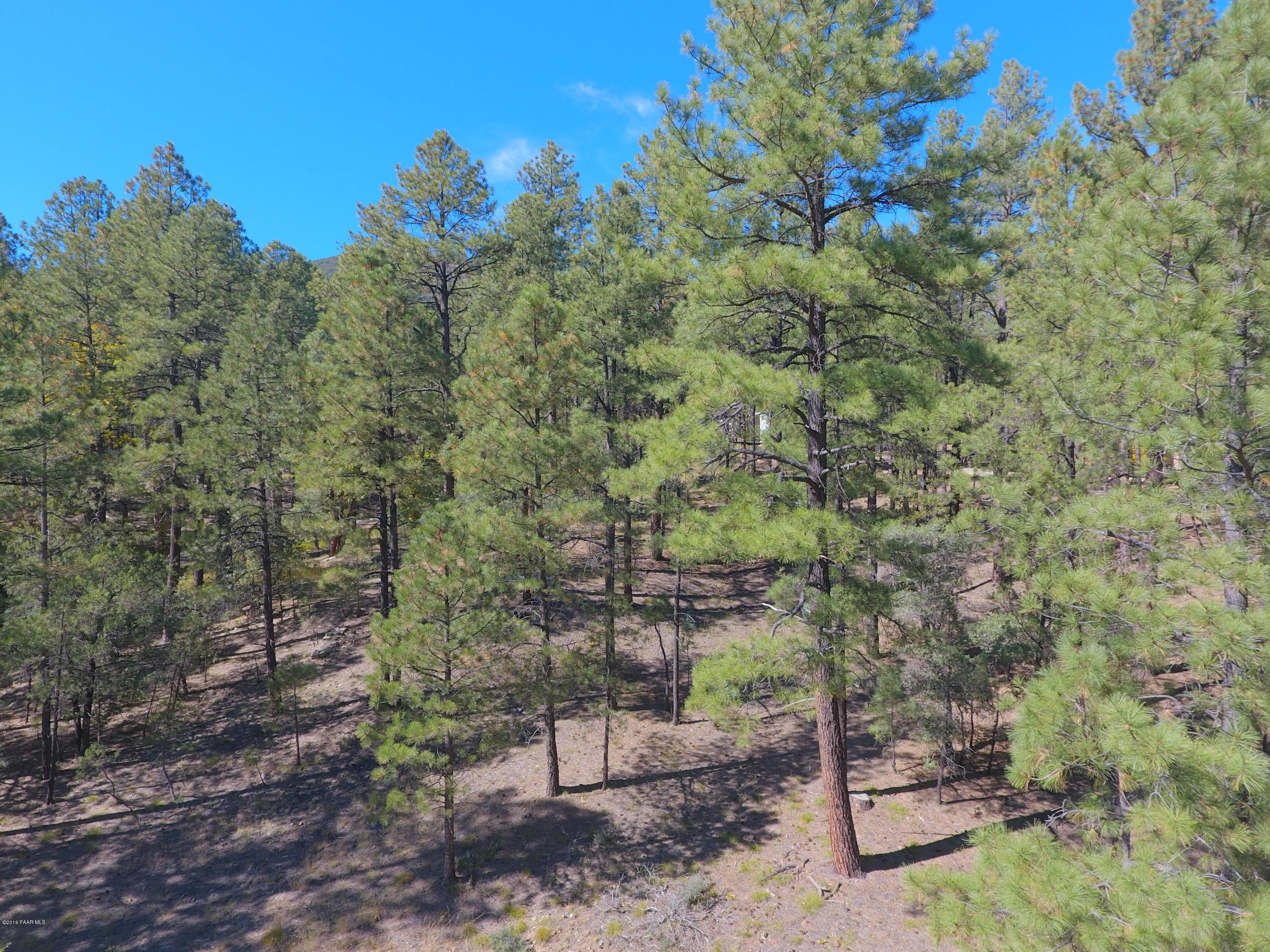 5510 East Walker Road Prescott, AZ 86303 - Photo 8 of 29 DJI_0044