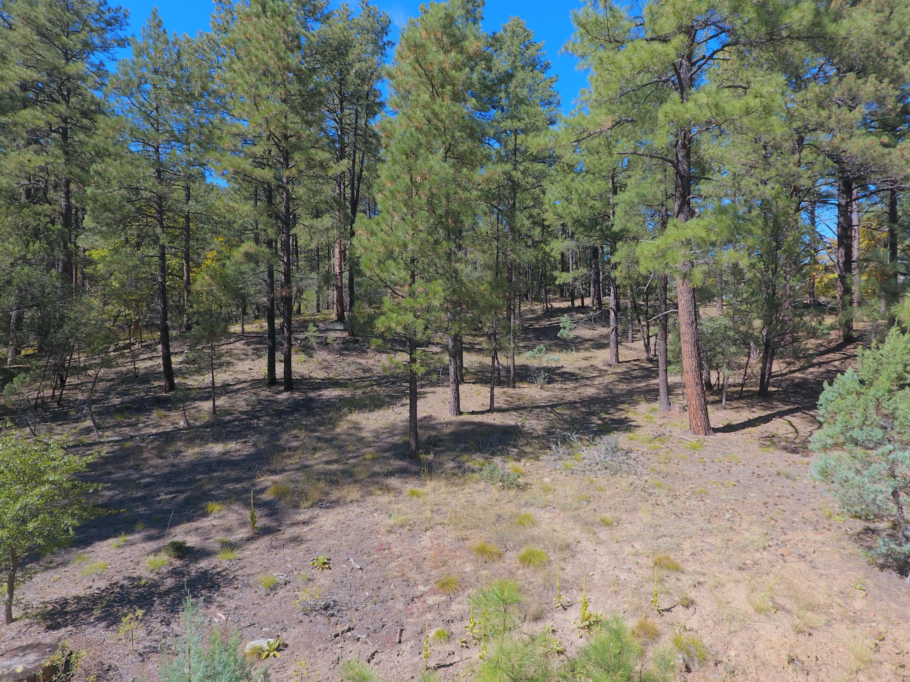 5510 East Walker Road Prescott, AZ 86303 - Photo 9 of 29 DJI_0045