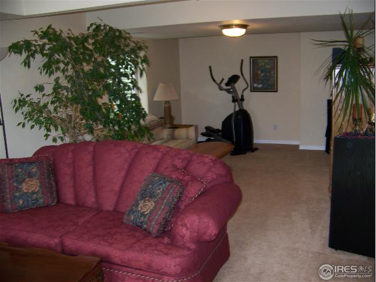2715 Pleasant Valley Road Fort Collins, CO 80521 - Photo 6 of 14 Gallery Image 6