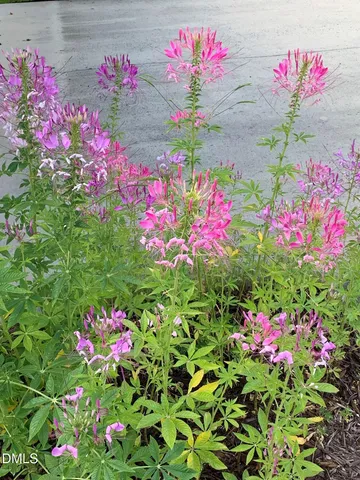 $699,000 | 4064 Harnett, Pittsboro, NC 27312