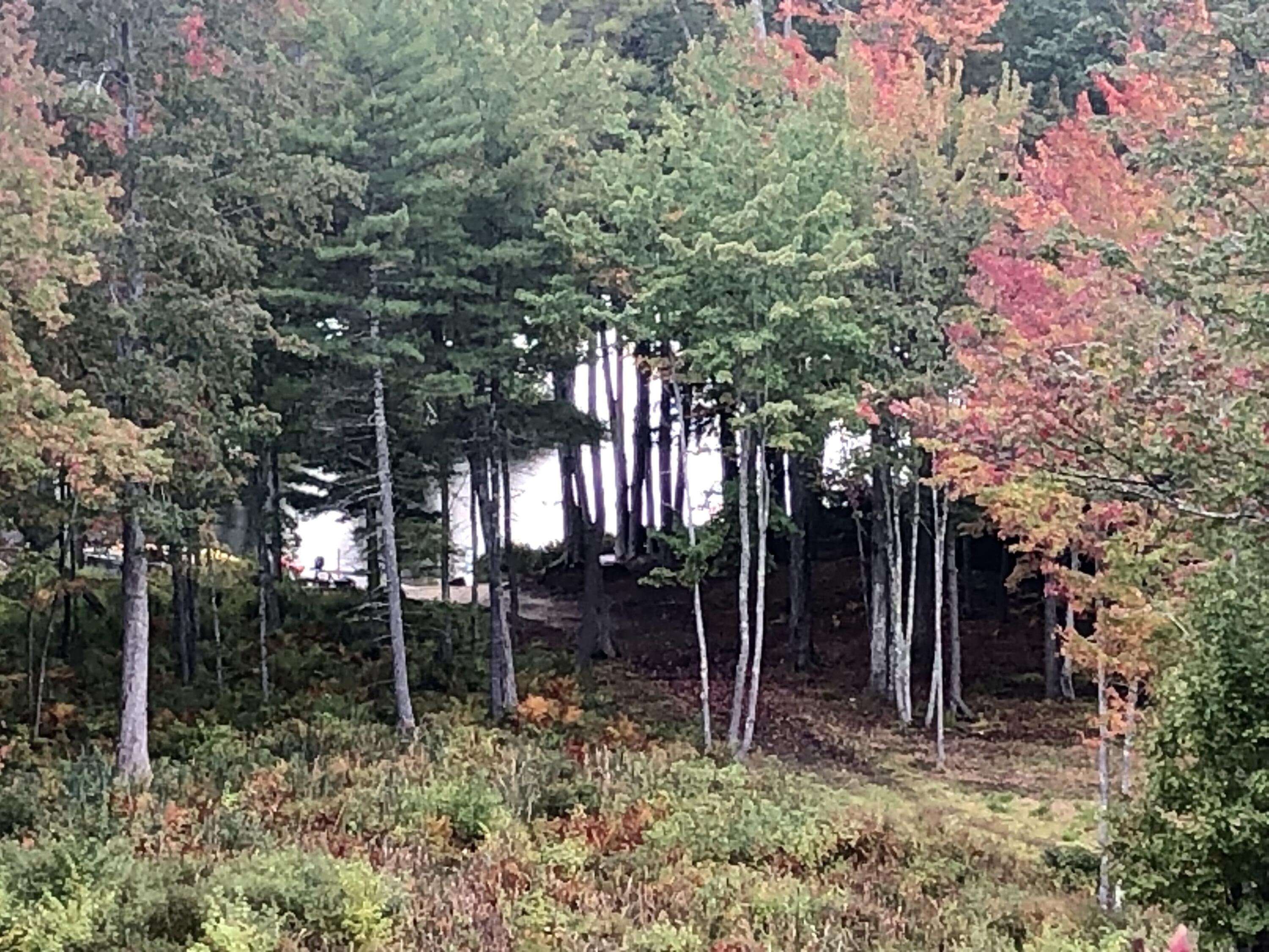 175 North Shore Road Gray, ME 04039 - Photo 53 of 80 IMG_6537 (1)