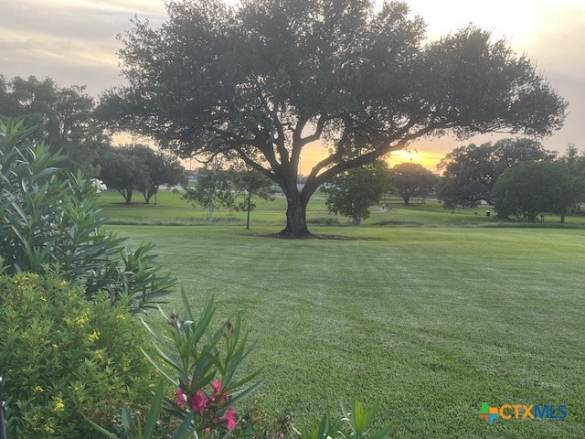 501 Barbara Street Ganado, TX 77962 - Photo 31 of 43 a big yard with lots of green space and plants