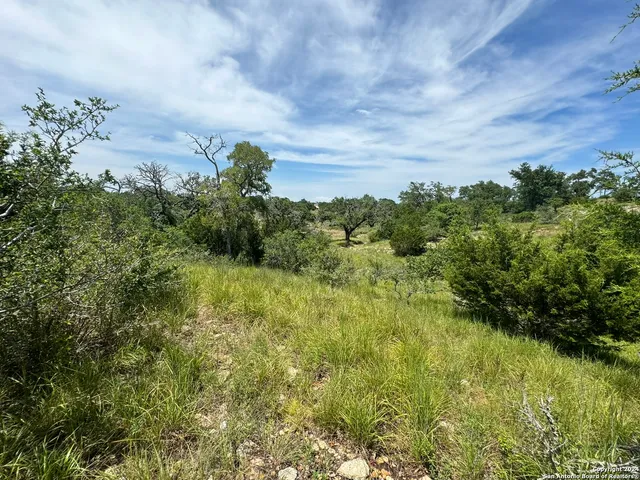 $60,000 | 134 West Eli Chandler, Blanco, TX 78606