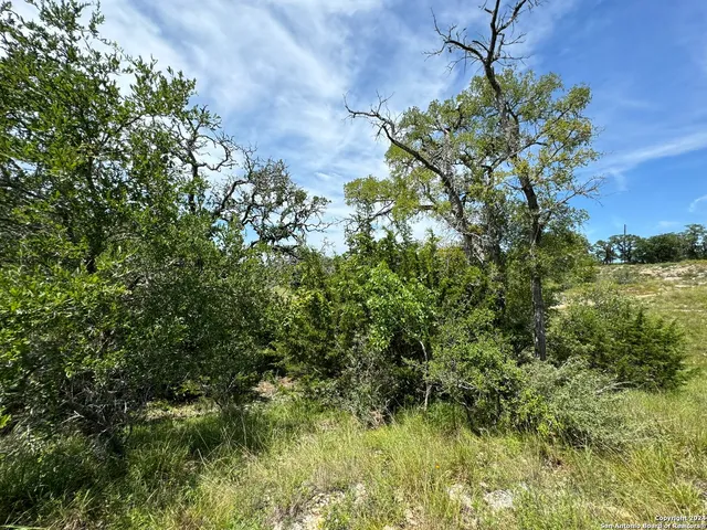 $60,000 | 134 West Eli Chandler, Blanco, TX 78606
