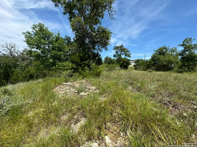 $60,000 | 134 West Eli Chandler, Blanco, TX 78606