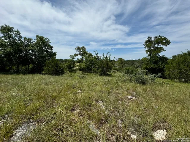 $60,000 | 134 West Eli Chandler, Blanco, TX 78606