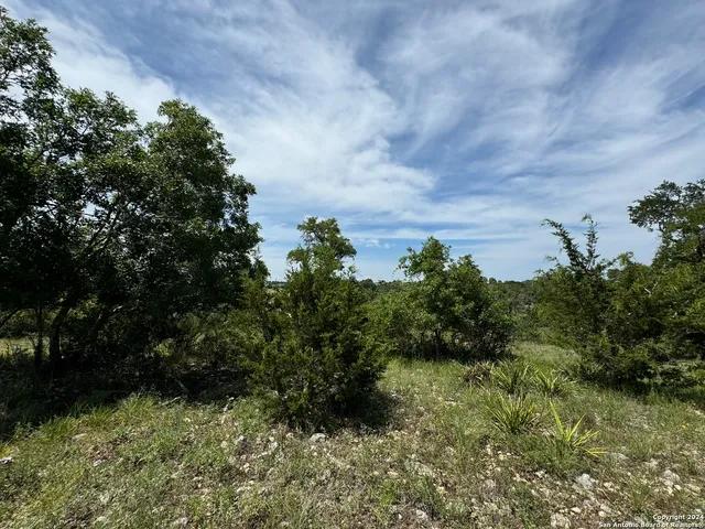 $60,000 | 134 West Eli Chandler, Blanco, TX 78606
