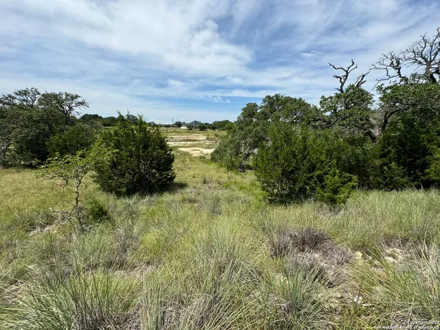 $60,000 | 134 West Eli Chandler, Blanco, TX 78606