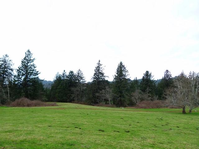Tl#1008 Bel Air Road Cloverdale, OR 97112 - Photo 10 of 20 P1080355
