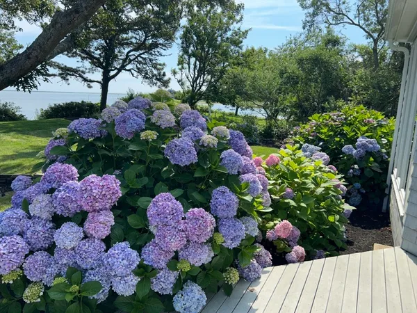 $14,000 | 351 Whidah Road, Chatham, MA 02650