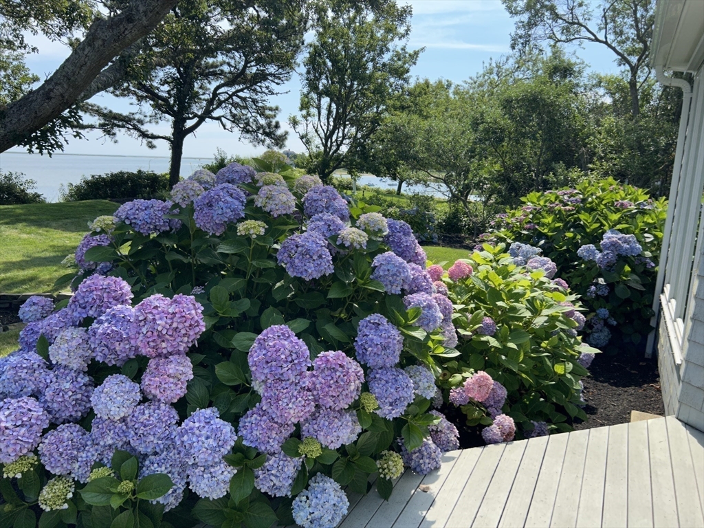 351 Whidah Road Chatham, MA 02650 - Photo 17 of 29