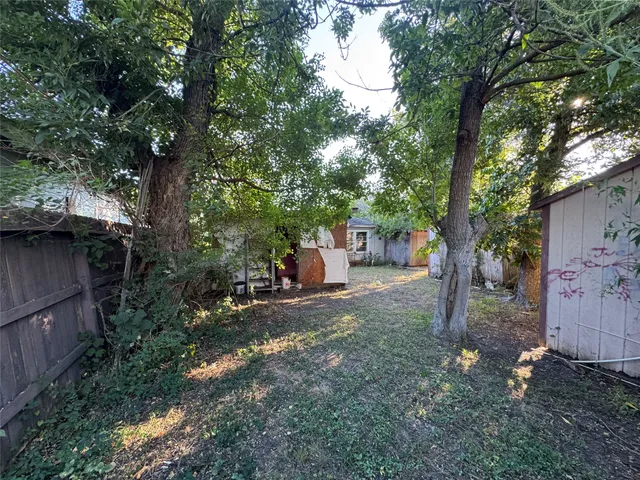 a view of a tree in the middle of a yard