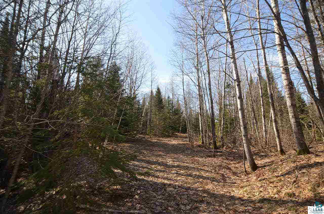 10944 East Minnesuing Road Lake Nebagamon, WI 54849 - Photo 15 of 25