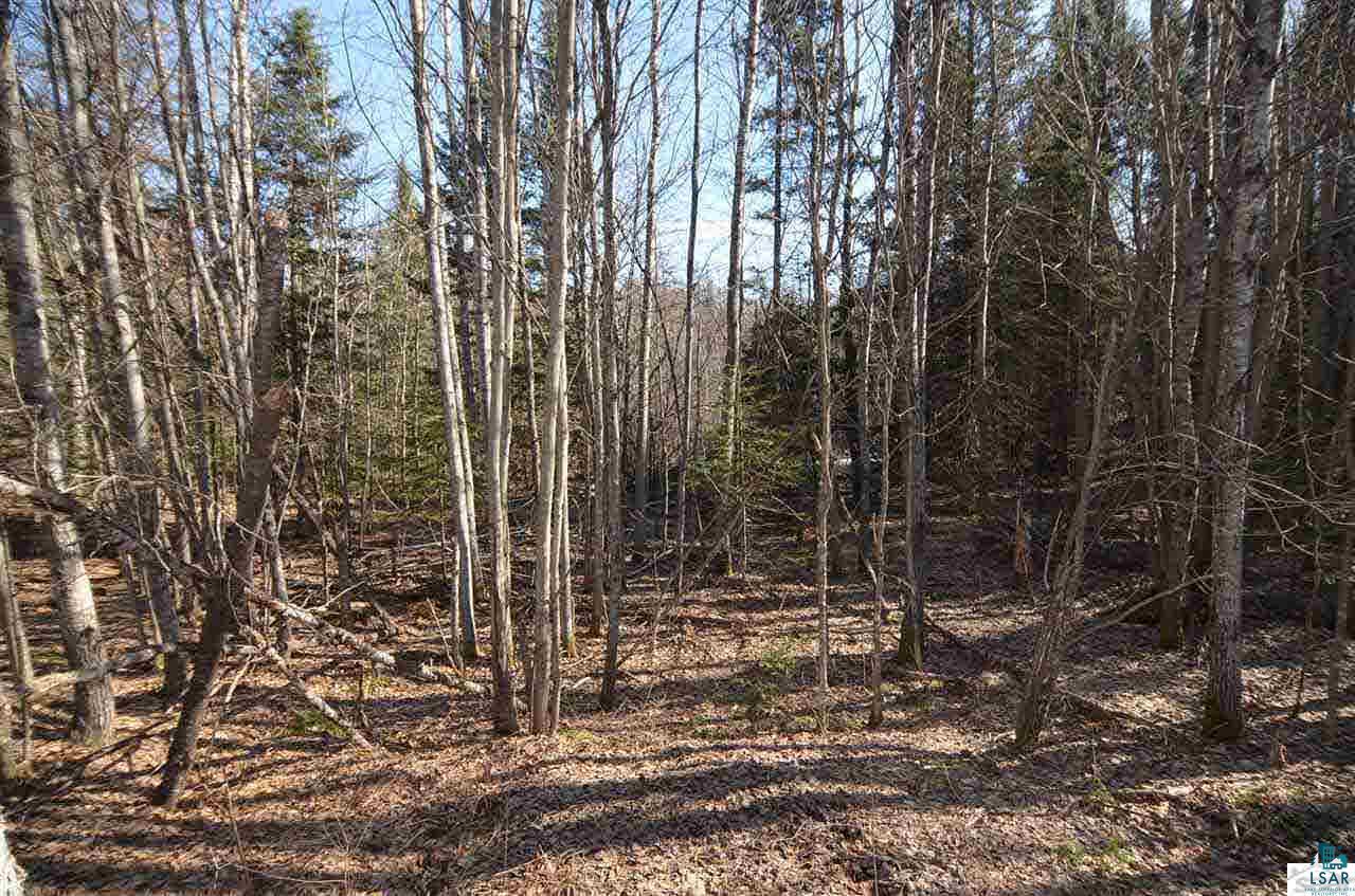 10944 East Minnesuing Road Lake Nebagamon, WI 54849 - Photo 5 of 25