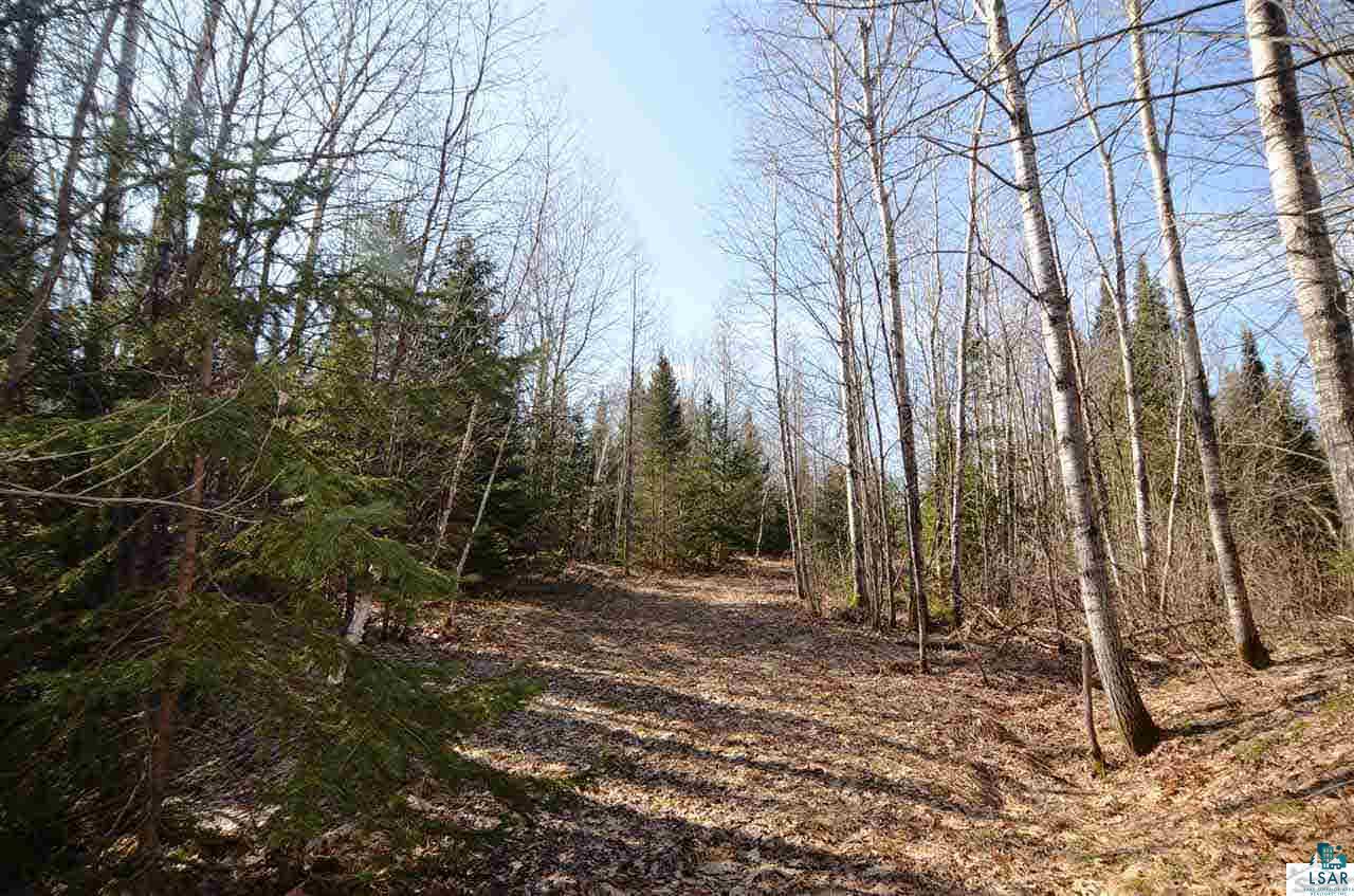 10944 East Minnesuing Road Lake Nebagamon, WI 54849 - Photo 8 of 25