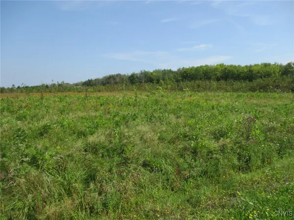 $85,000 | 3 Hitchcock Point Road, Bridgeport, NY 13030