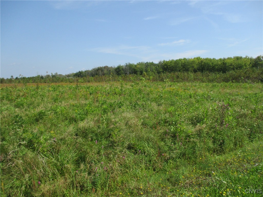 3 Hitchcock Point Road Bridgeport, NY 13030 - Photo 12 of 15