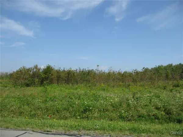 $85,000 | 3 Hitchcock Point Road, Bridgeport, NY 13030