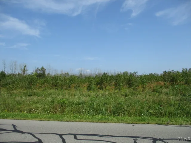 $85,000 | 3 Hitchcock Point Road, Bridgeport, NY 13030