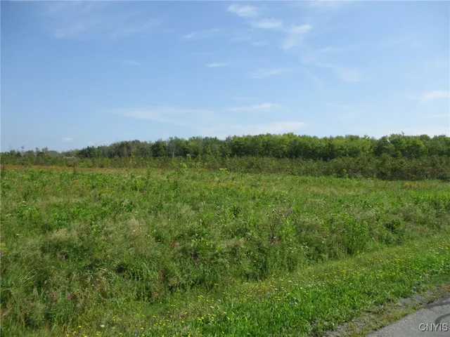 $85,000 | 3 Hitchcock Point Road, Bridgeport, NY 13030