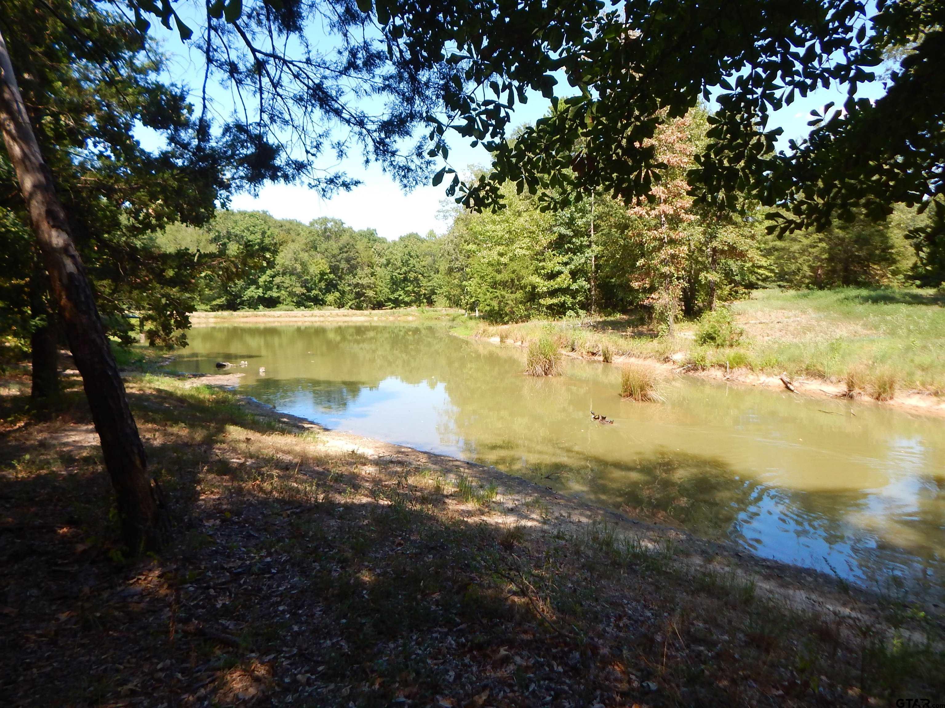 2814 Hare Road Gilmer, TX 75644 - Photo 19 of 20 Gallery Image 19