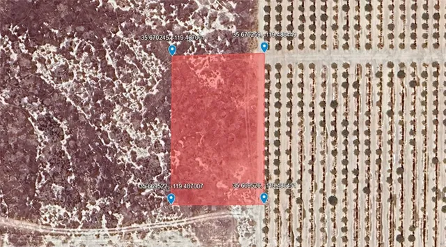 a bathroom with a shower curtain