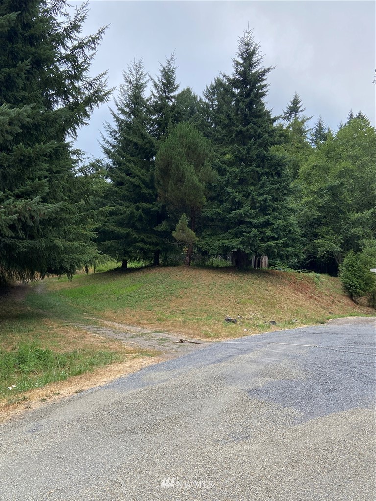 565 Kool Road Kelso, WA 98626 - Photo 14 of 16 Gallery Image 14