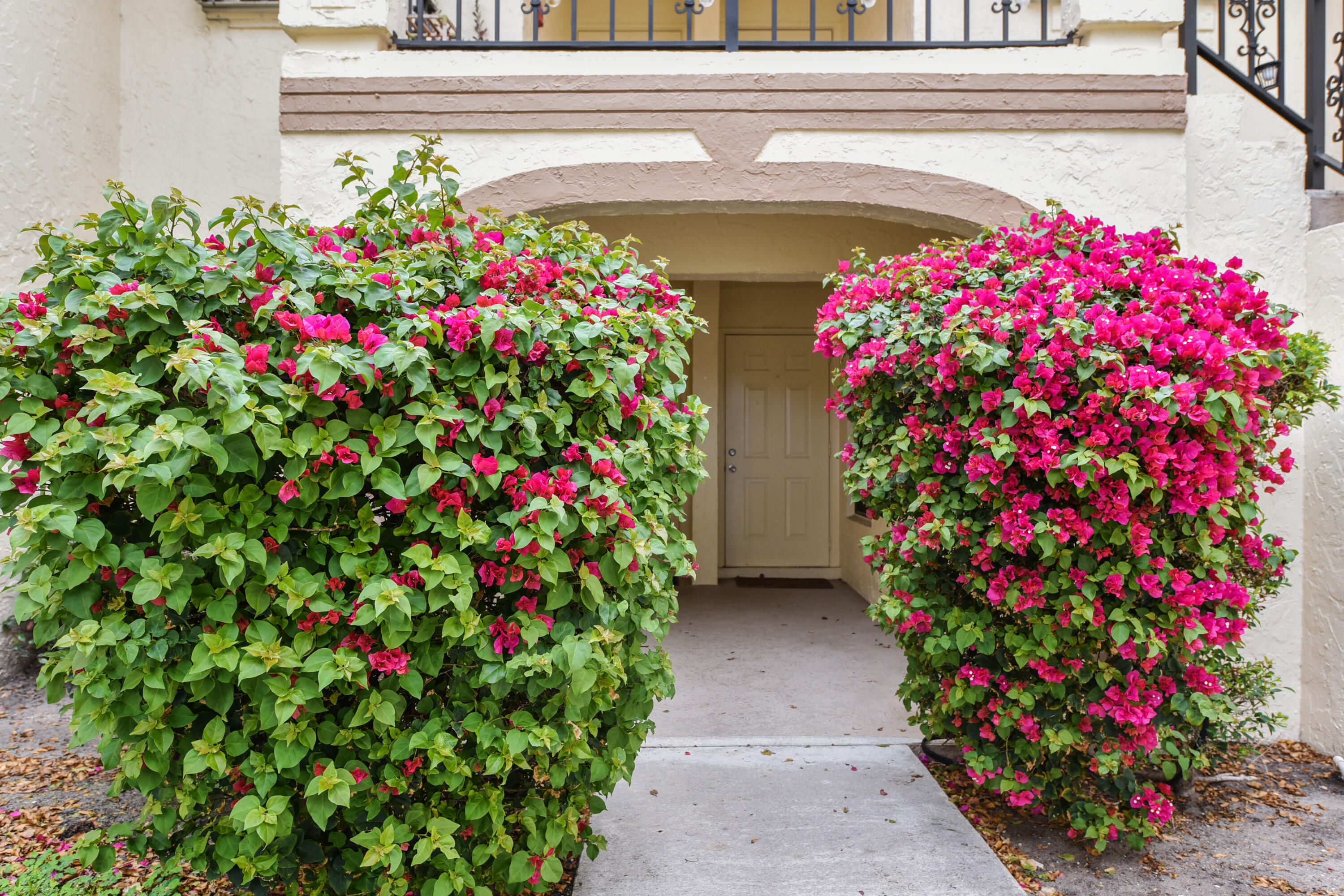 2600 Greenwood Terrace, Unit 107 Boca Raton, FL 33431 - Photo 23 of 30 DSC_3672