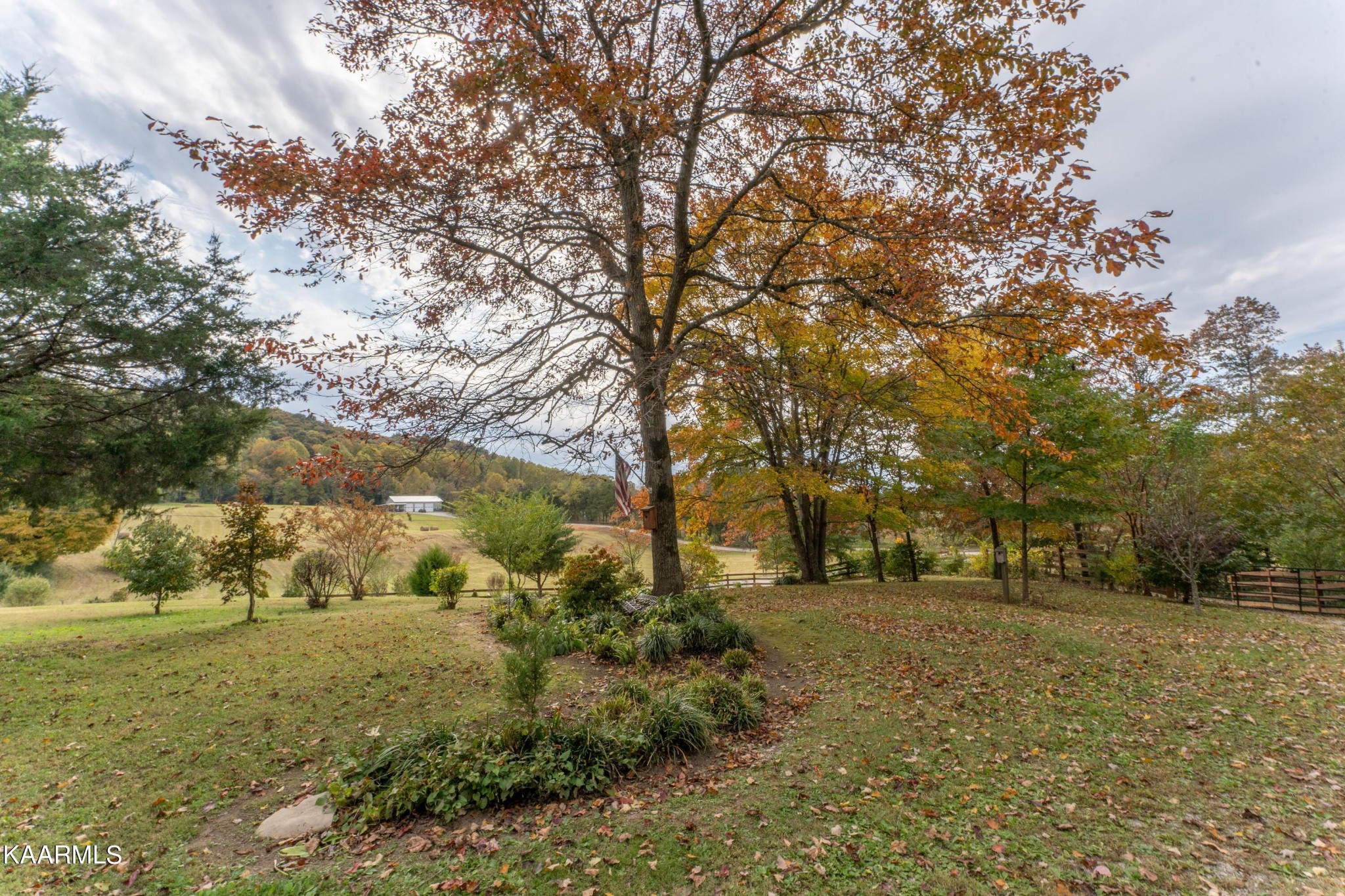 5456 Buck Mountain Road Pall Mall, TN 38577 - Photo 36 of 48 Gallery Image 36